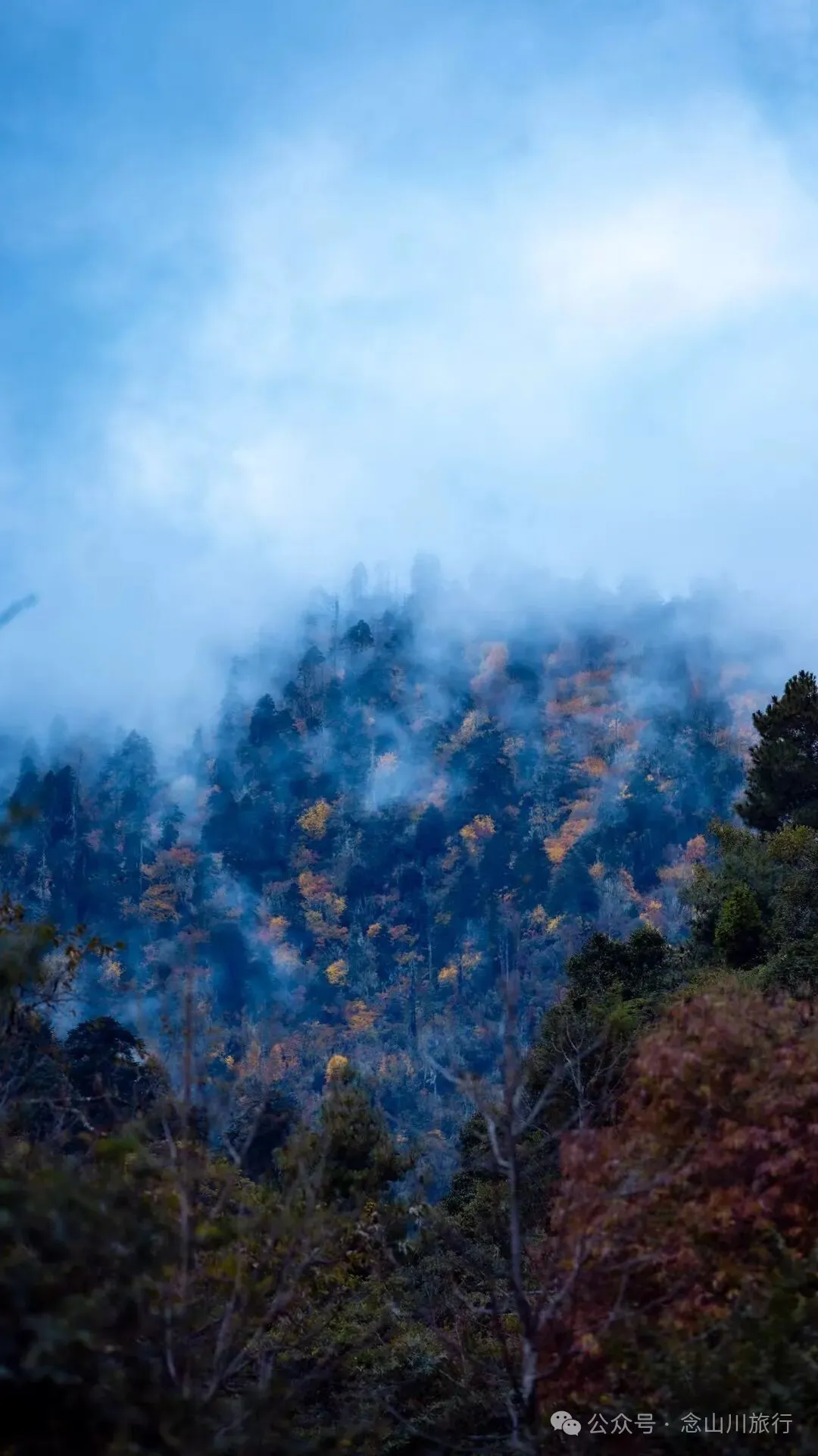 听说了，巴珠村的冬天才是赏秋色的最好时节 - 第4张