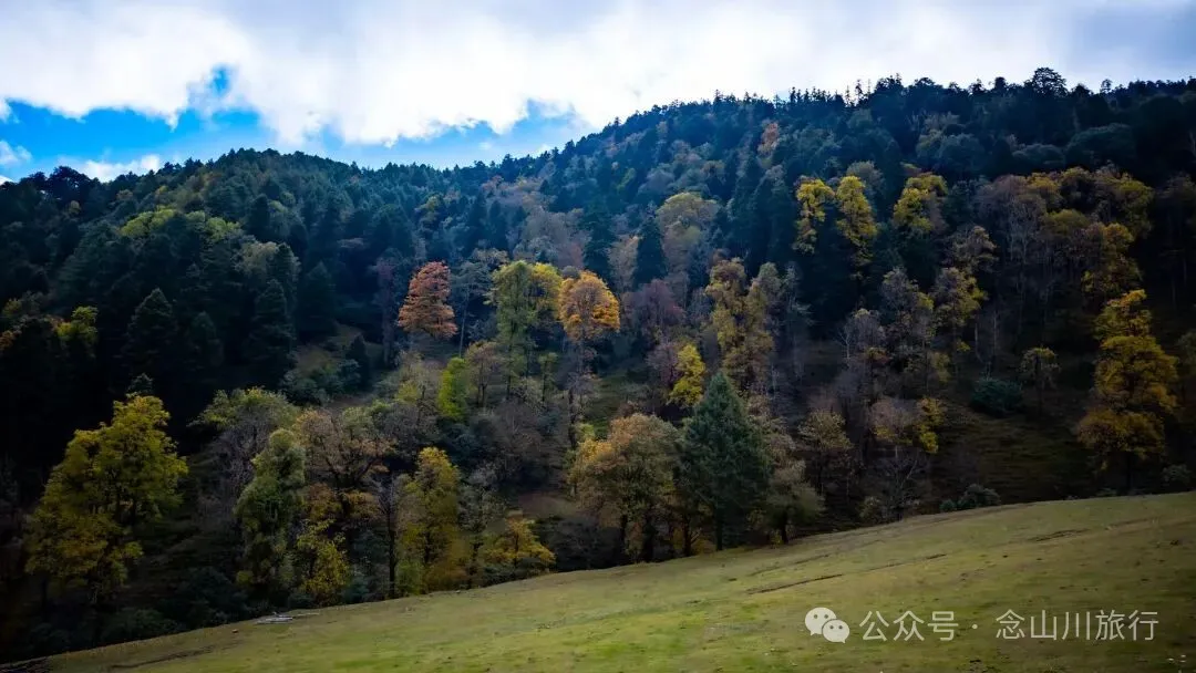 听说了，巴珠村的冬天才是赏秋色的最好时节 - 第7张