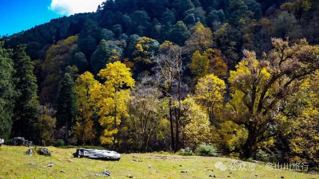听说了，巴珠村的冬天才是赏秋色的最好时节 - 第8张