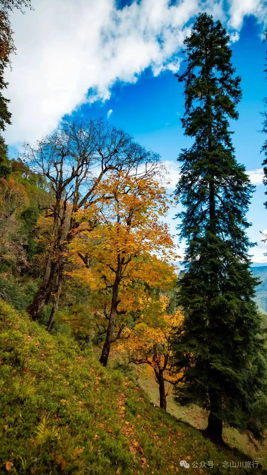 俯瞰塔城，远望达摩祖师洞和石卡雪山，秋冬季很适合来巴珠这条徒步路线 - 第13张