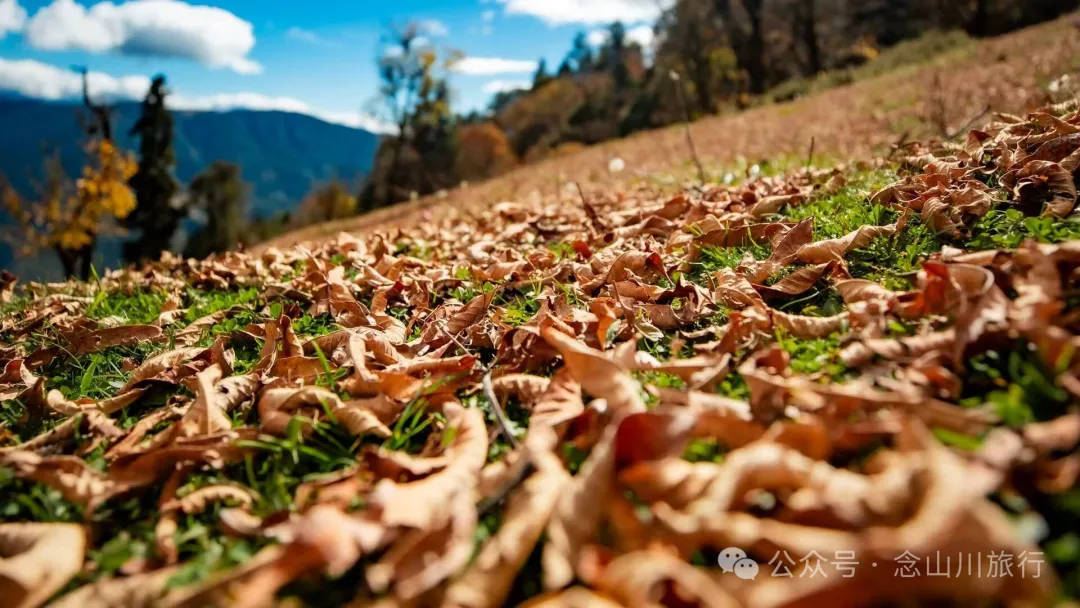 俯瞰塔城，远望达摩祖师洞和石卡雪山，秋冬季很适合来巴珠这条徒步路线 - 第16张