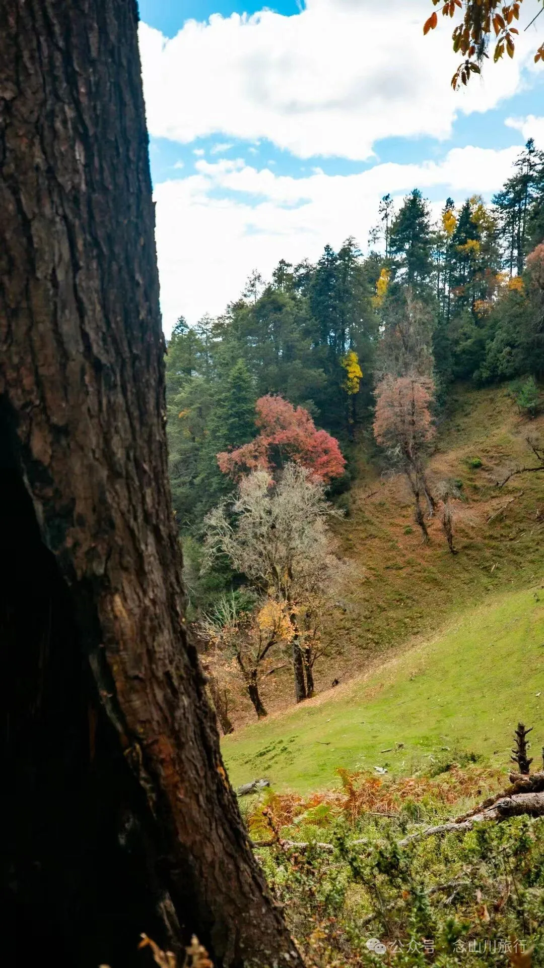 俯瞰塔城，远望达摩祖师洞和石卡雪山，秋冬季很适合来巴珠这条徒步路线 - 第17张