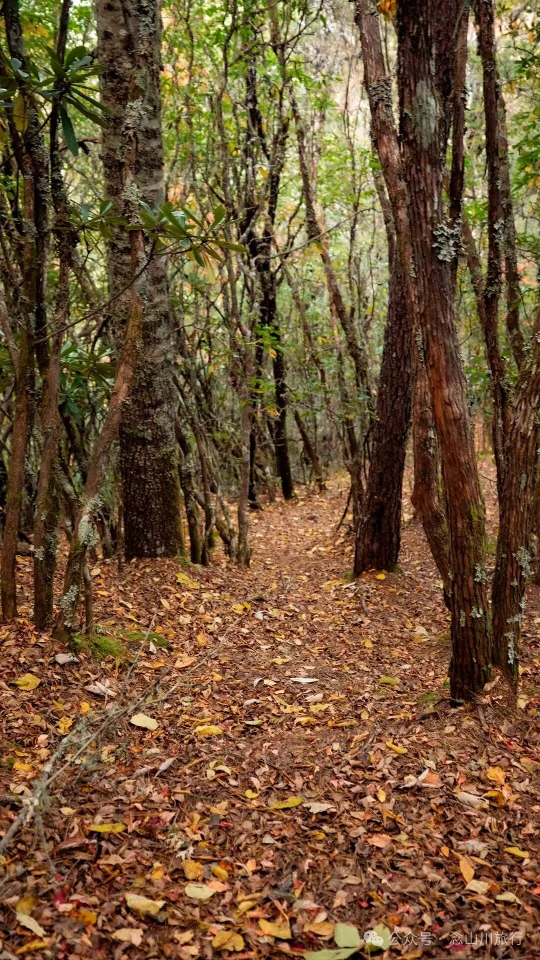 俯瞰塔城，远望达摩祖师洞和石卡雪山，秋冬季很适合来巴珠这条徒步路线 - 第23张