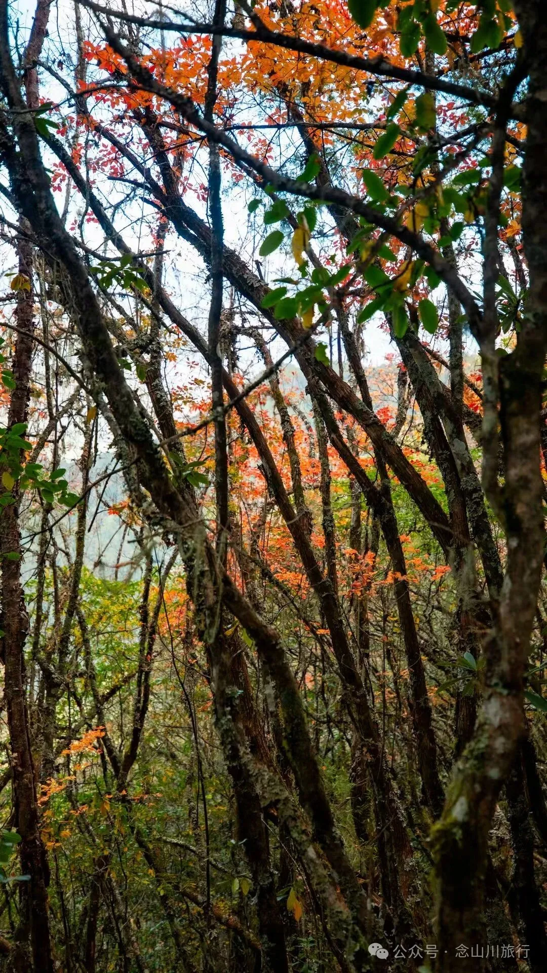 俯瞰塔城，远望达摩祖师洞和石卡雪山，秋冬季很适合来巴珠这条徒步路线 - 第24张