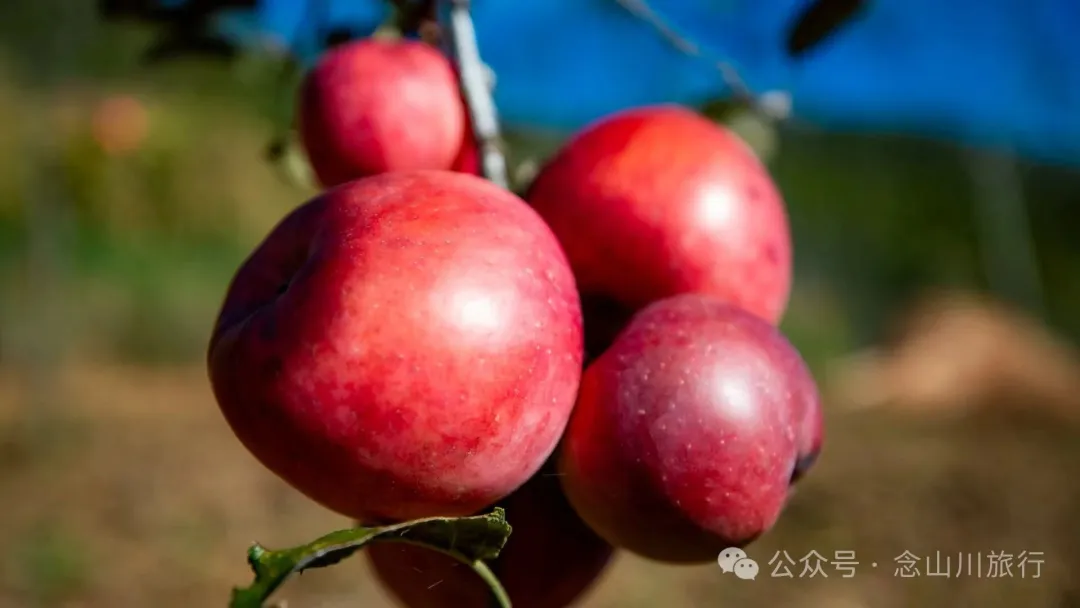 俯瞰塔城，远望达摩祖师洞和石卡雪山，秋冬季很适合来巴珠这条徒步路线 - 第4张