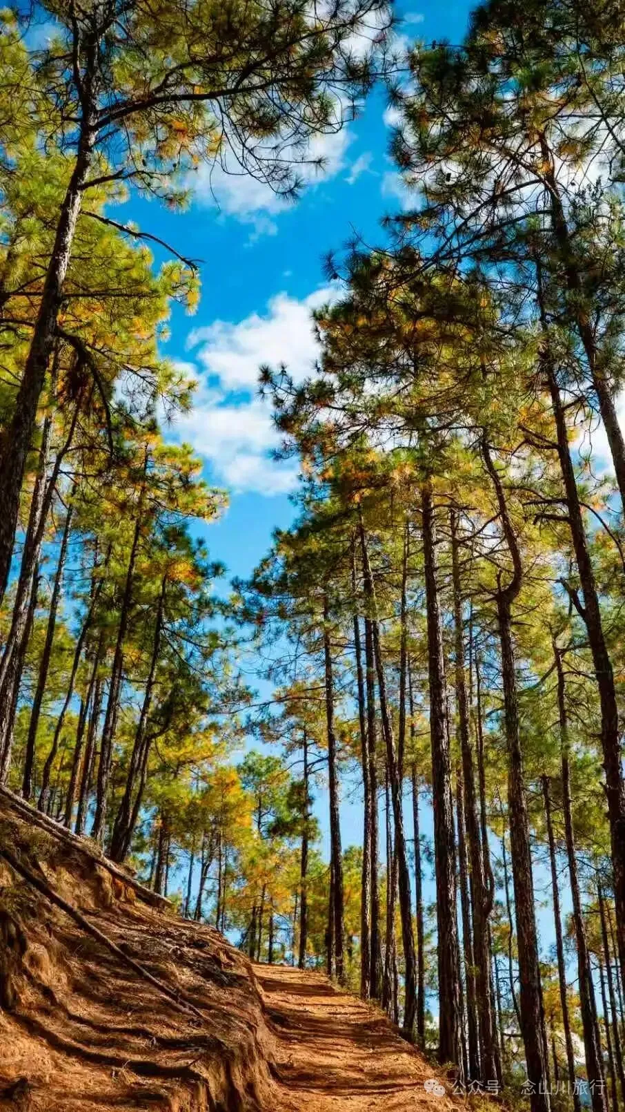 俯瞰塔城，远望达摩祖师洞和石卡雪山，秋冬季很适合来巴珠这条徒步路线 - 第6张