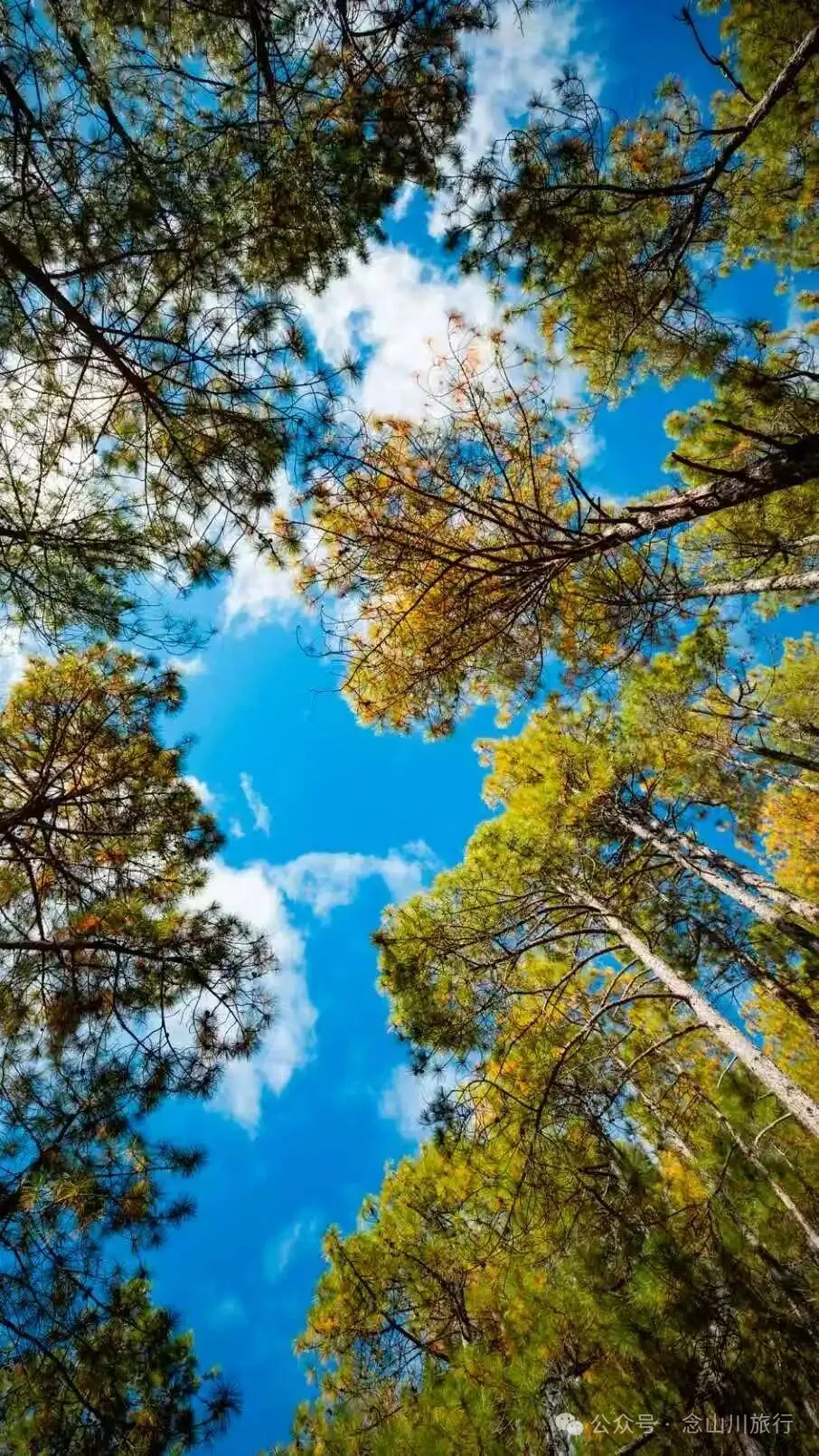 俯瞰塔城，远望达摩祖师洞和石卡雪山，秋冬季很适合来巴珠这条徒步路线 - 第7张