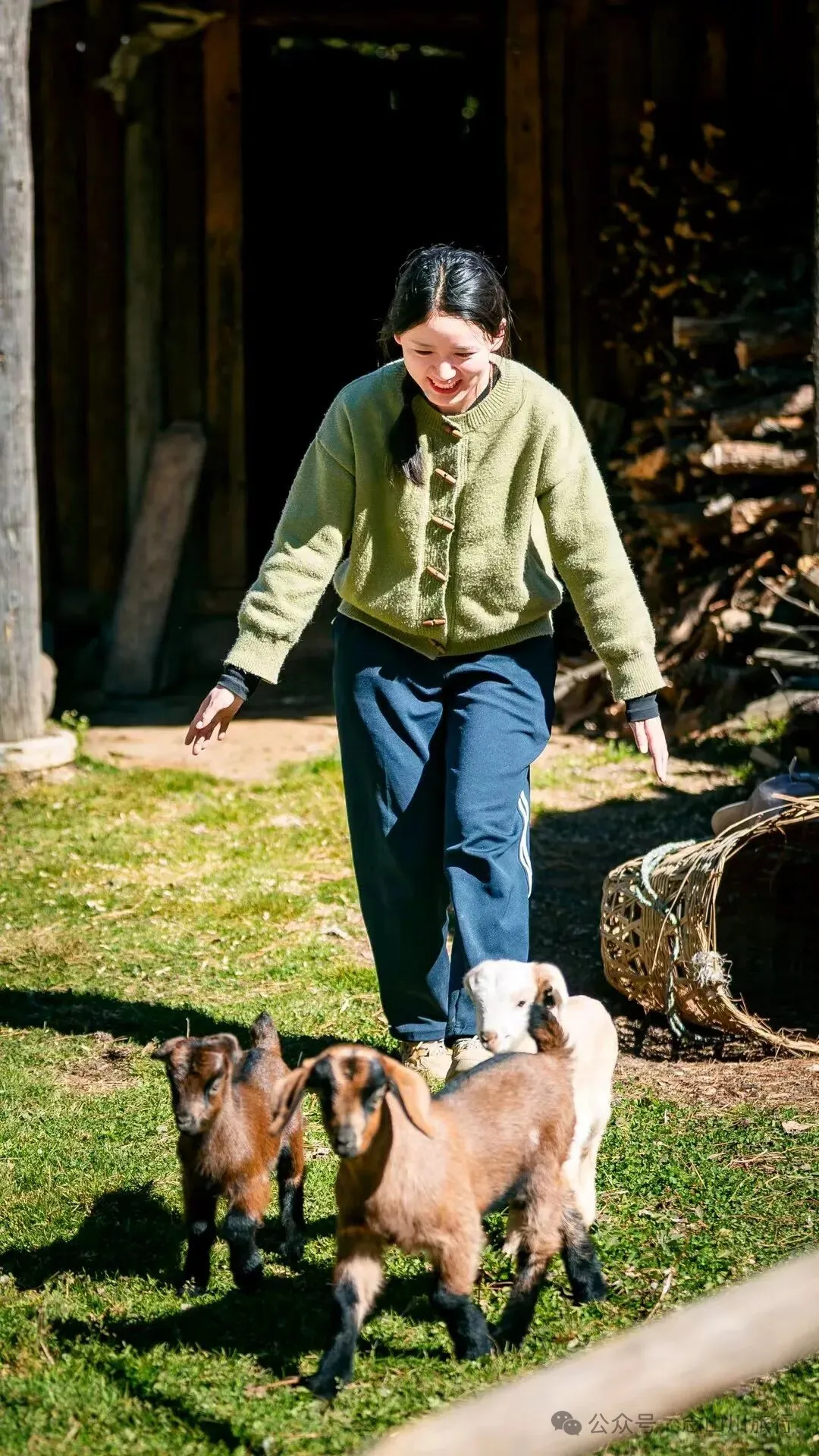 户外烧烤、爱笑的羔羊、贴膏药的小猪，秋意浓浓的微风山谷，山野里的朝九晚五全是干货 - 第23张