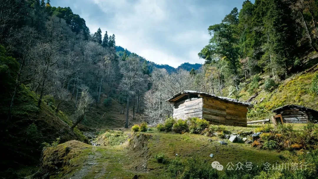 独行者的浪漫自由——走进山野，留在山野，长成山野 - 第11张