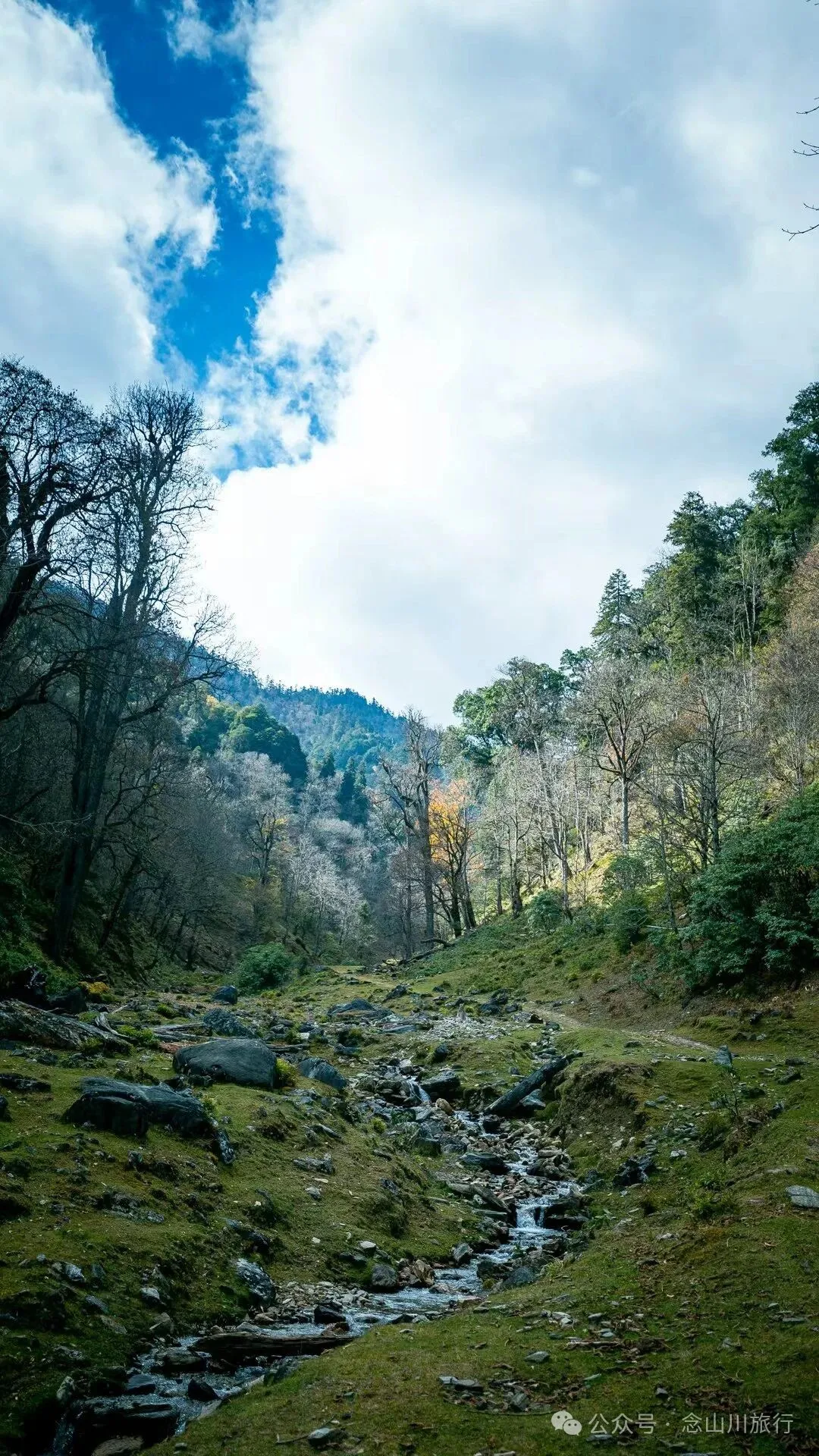 独行者的浪漫自由——走进山野，留在山野，长成山野 - 第13张