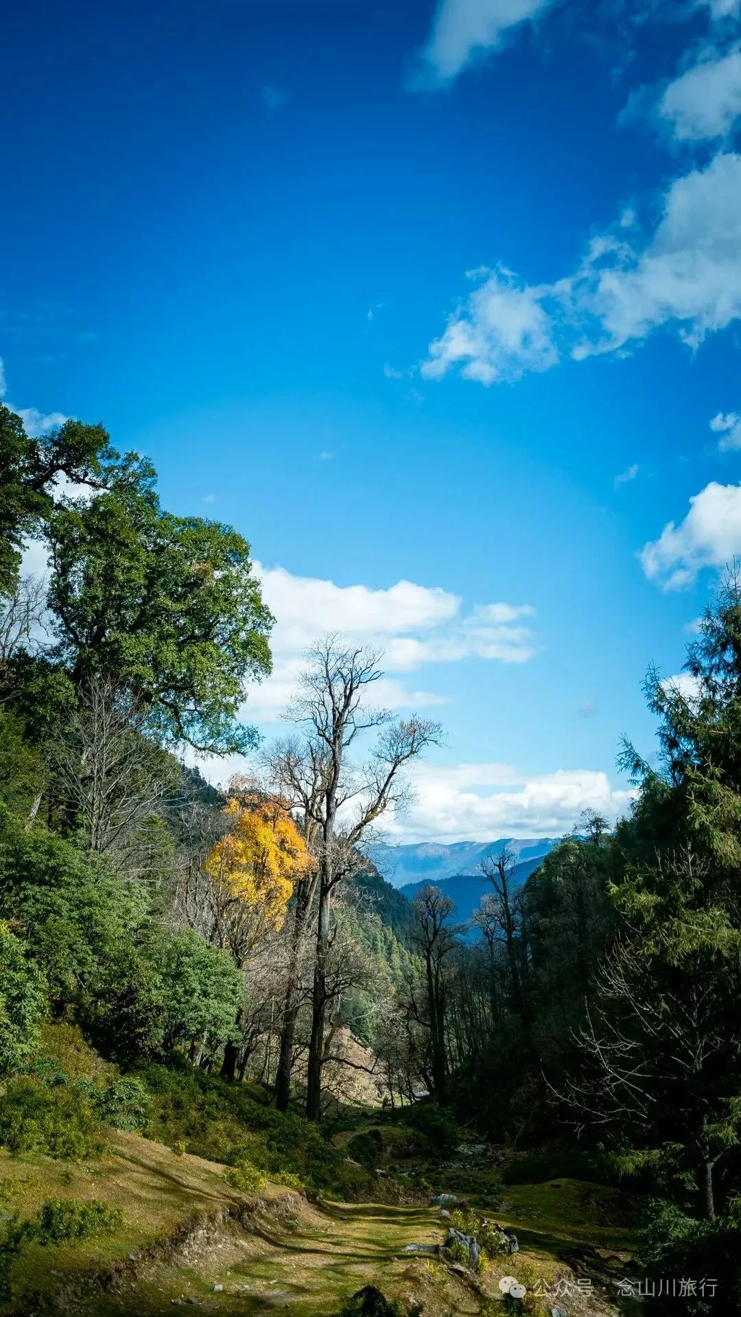 独行者的浪漫自由——走进山野，留在山野，长成山野 - 第14张