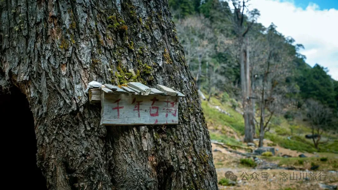 独行者的浪漫自由——走进山野，留在山野，长成山野 - 第16张