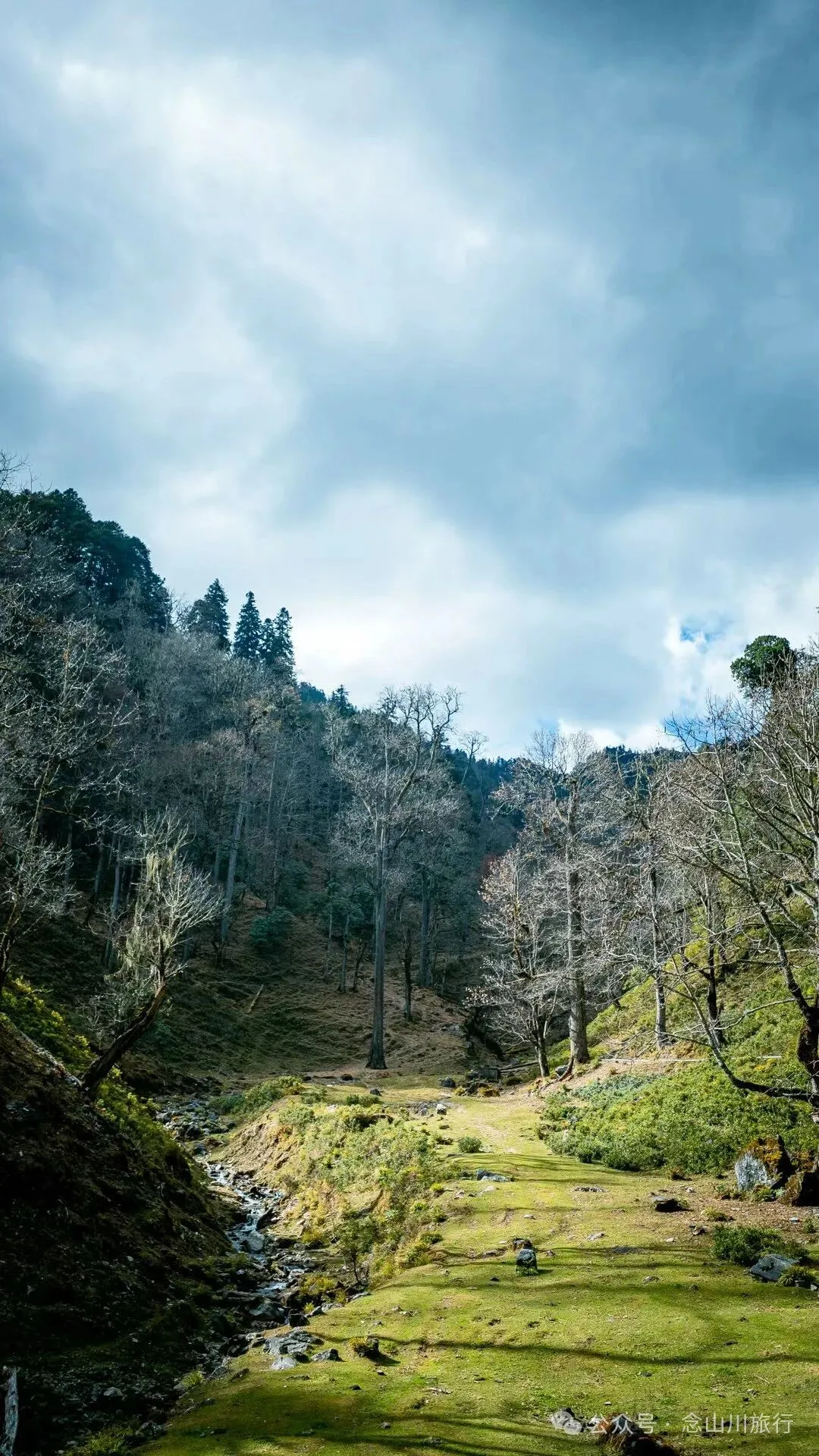 独行者的浪漫自由——走进山野，留在山野，长成山野 - 第18张