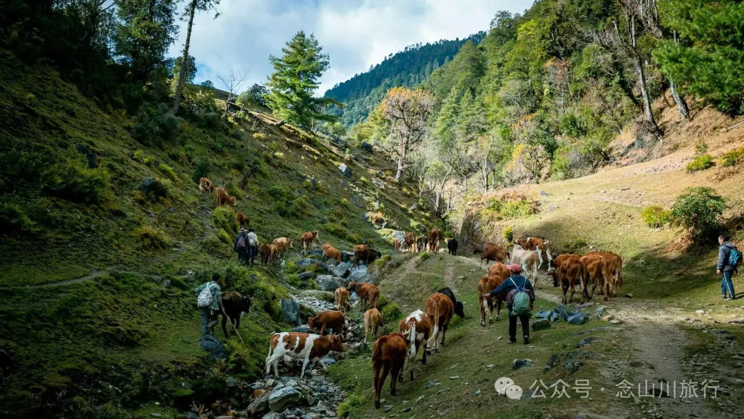 独行者的浪漫自由——走进山野，留在山野，长成山野 - 第4张