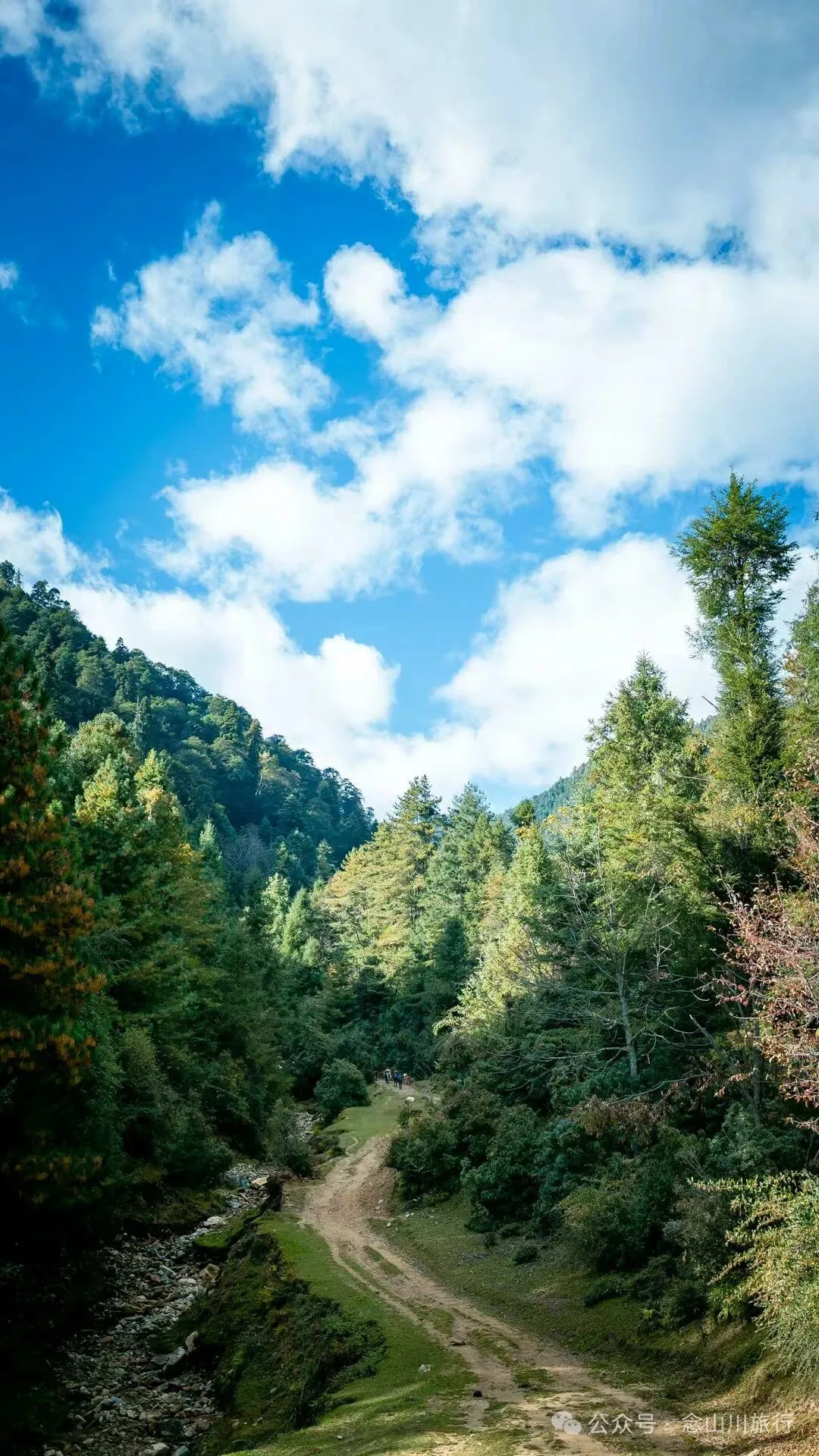 独行者的浪漫自由——走进山野，留在山野，长成山野 - 第5张