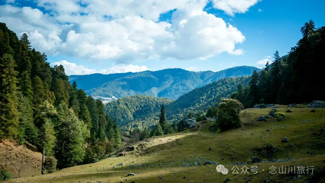 独行者的浪漫自由——走进山野，留在山野，长成山野 - 第6张