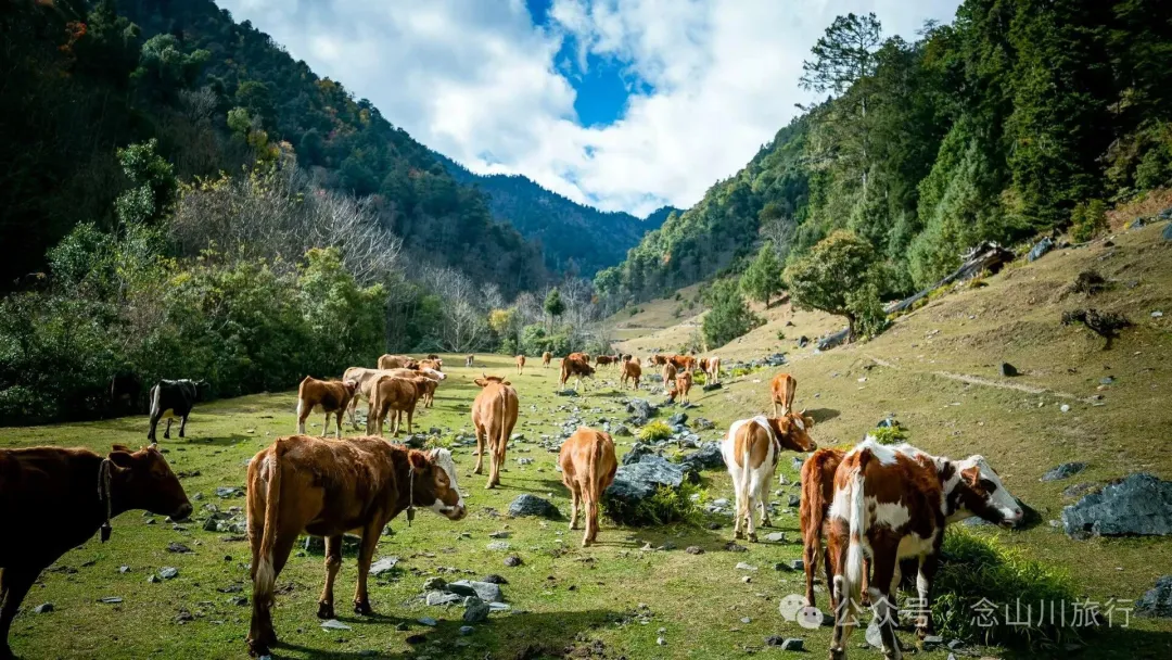 独行者的浪漫自由——走进山野，留在山野，长成山野 - 第7张