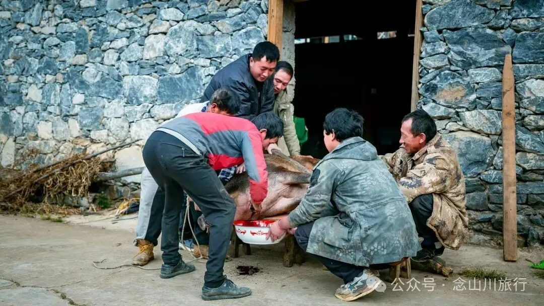 独属于云南人的美食时光——巴珠村的杀猪饭，11月中旬已热闹开启第一波 - 第5张