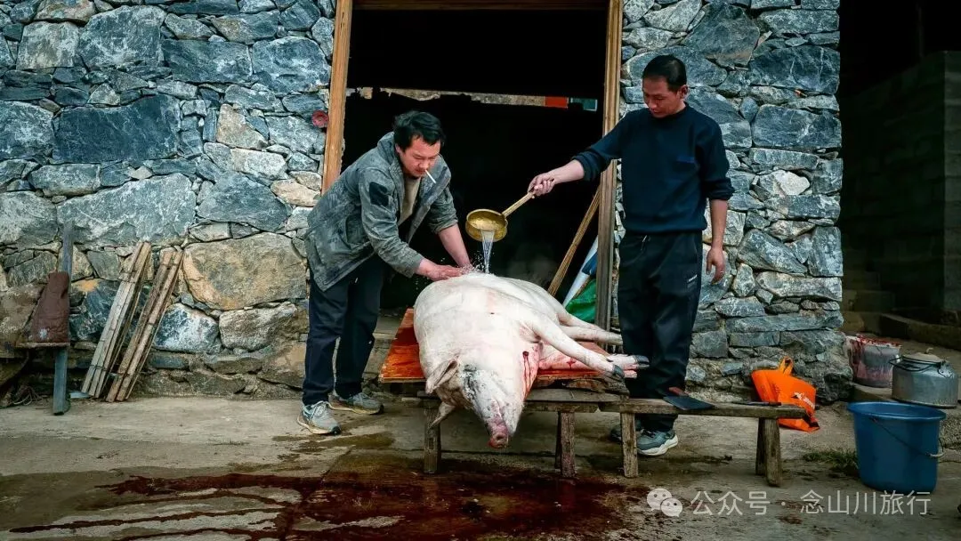 独属于云南人的美食时光——巴珠村的杀猪饭，11月中旬已热闹开启第一波 - 第7张