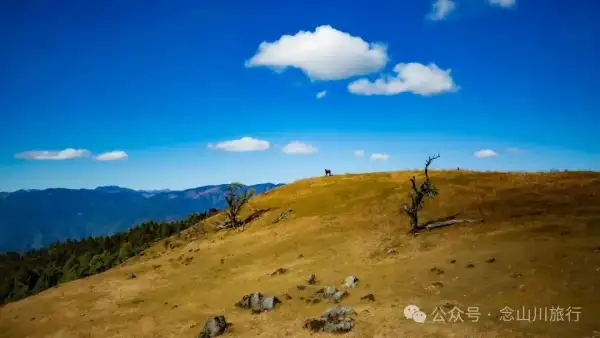 云南徒步秘境|在云岭山脉的山顶牧场,让身体与灵魂一起翱翔