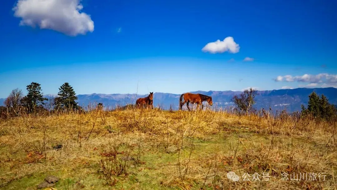 云南徒步秘境｜在云岭山脉的山顶牧场，让身体与灵魂一起翱翔 - 第17张