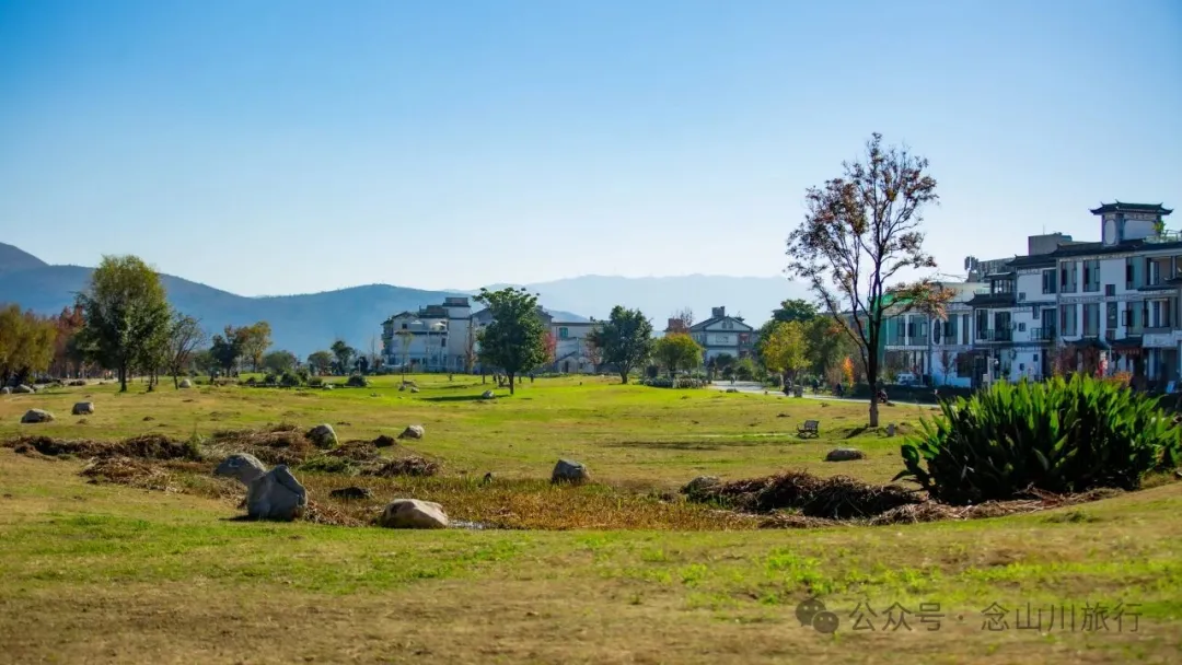 云南大理洱海的海鸥来了，水杉红了 - 第24张