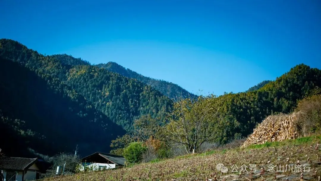 在巴珠村，成为卓玛的一天 - 第1张