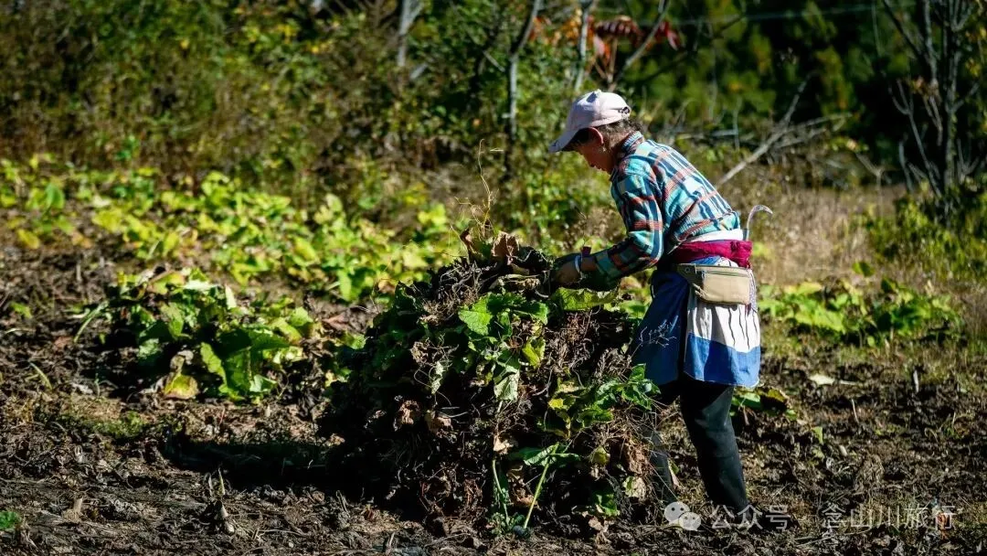 在巴珠村，成为卓玛的一天 - 第2张