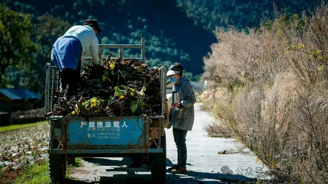 在巴珠村，成为卓玛的一天 - 第3张