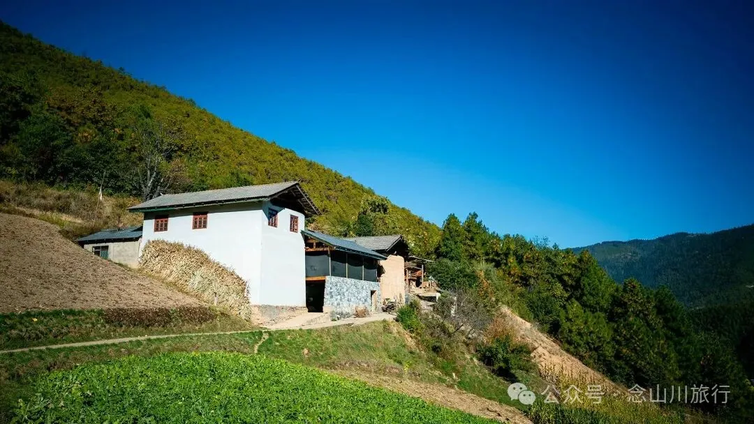 在巴珠村，成为卓玛的一天 - 第7张