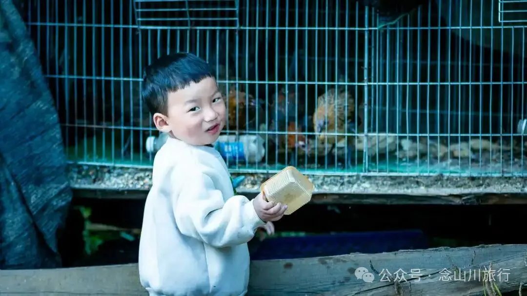 炒青稞和两岁半小男孩的“愿世界人民都安康” - 第10张