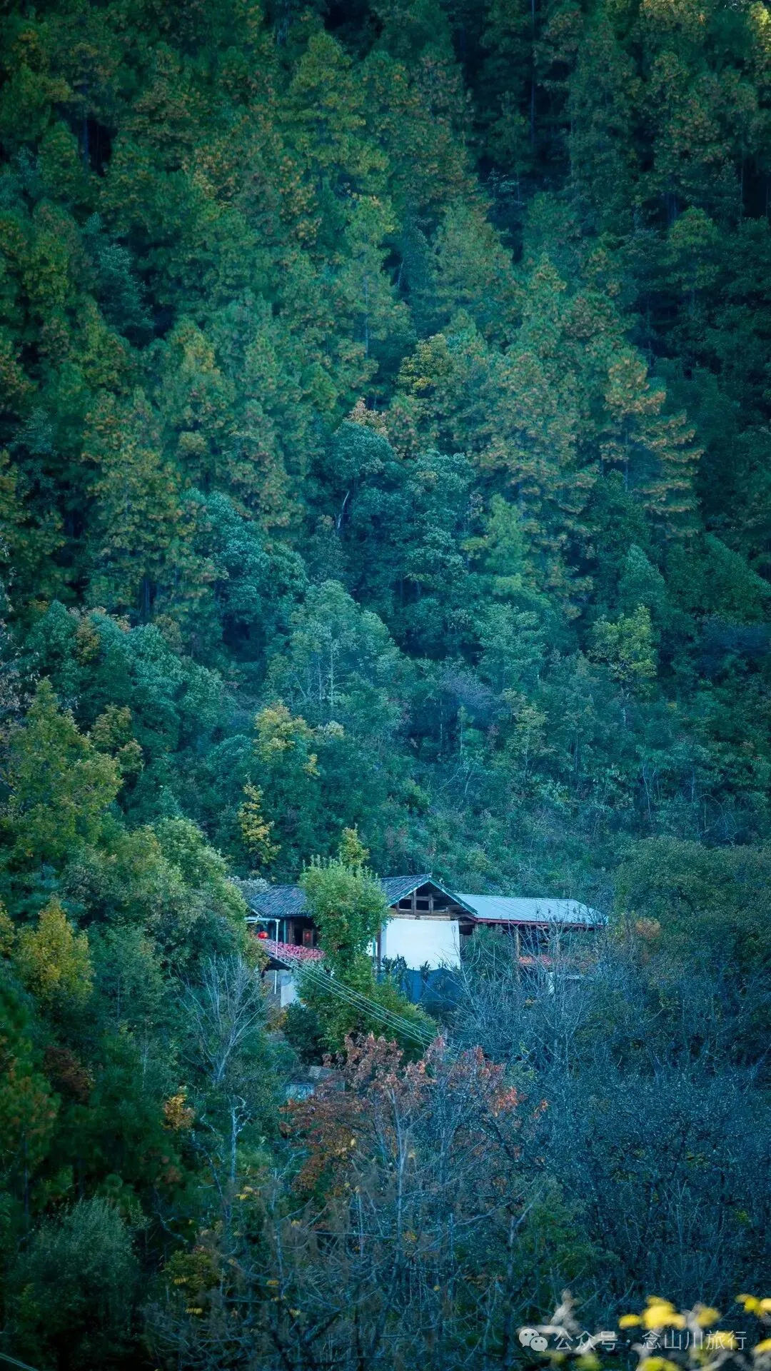 炒青稞和两岁半小男孩的“愿世界人民都安康” - 第19张