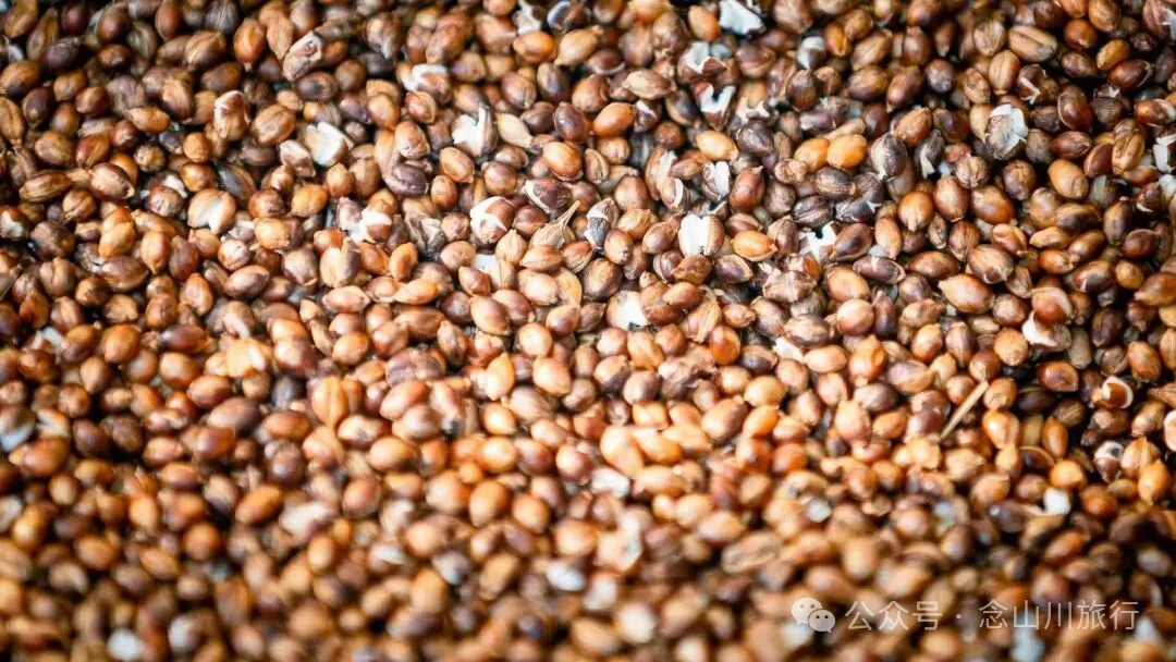 炒青稞和两岁半小男孩的“愿世界人民都安康” - 第8张