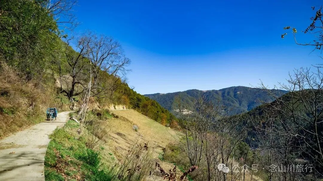 巴珠人物 | 老兵定都次林：从战场神枪手到田园老把式的双面人生 - 第1张