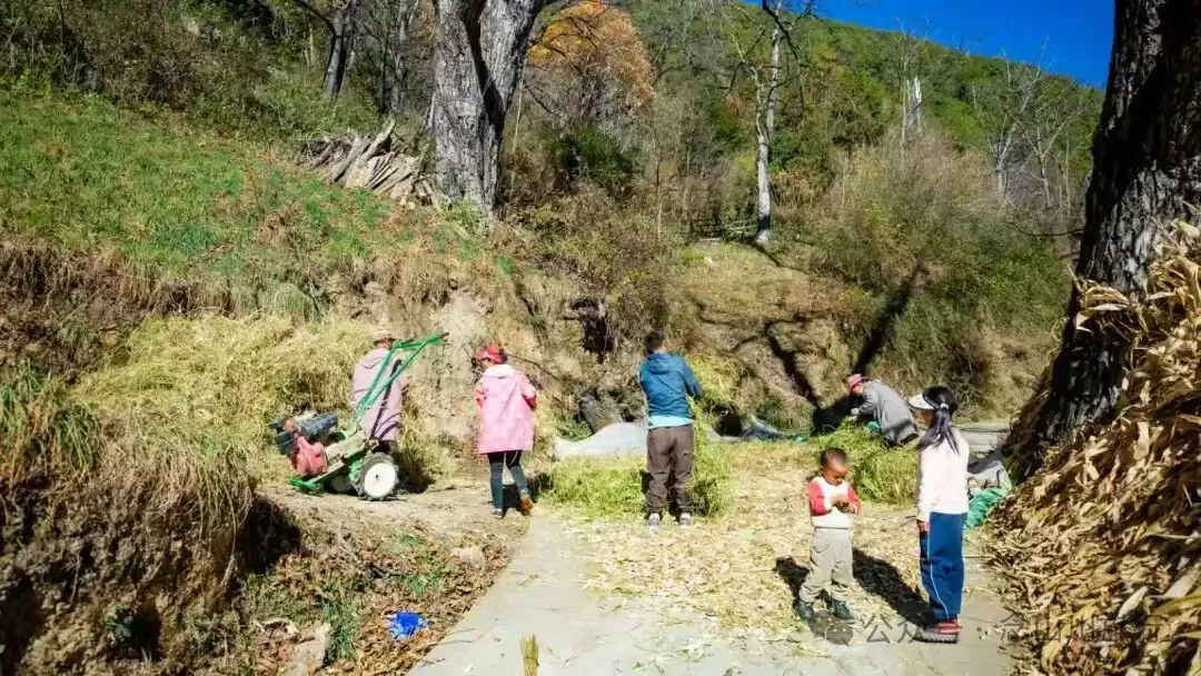 巴珠人物 | 老兵定都次林：从战场神枪手到田园老把式的双面人生 - 第18张