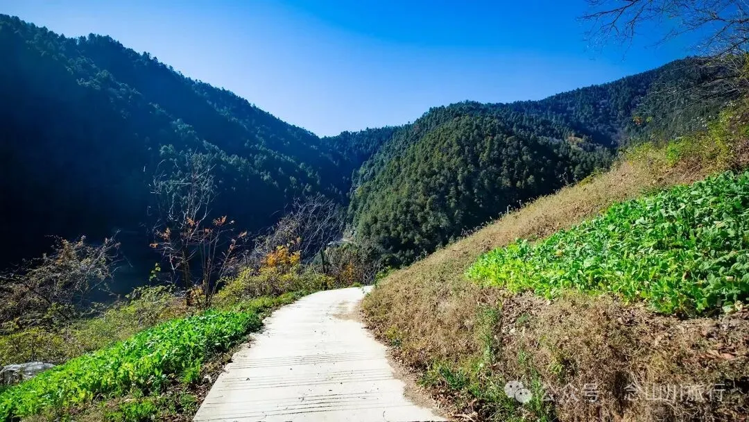 巴珠人物 | 老兵定都次林：从战场神枪手到田园老把式的双面人生 - 第2张
