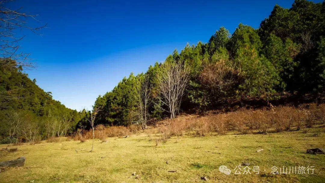 东桑卡，人类退出之后自然重新回归，隐居山野的理想之地 - 第1张