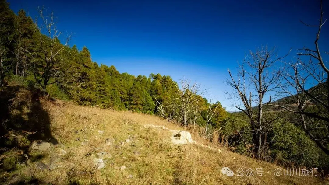 东桑卡，人类退出之后自然重新回归，隐居山野的理想之地 - 第10张