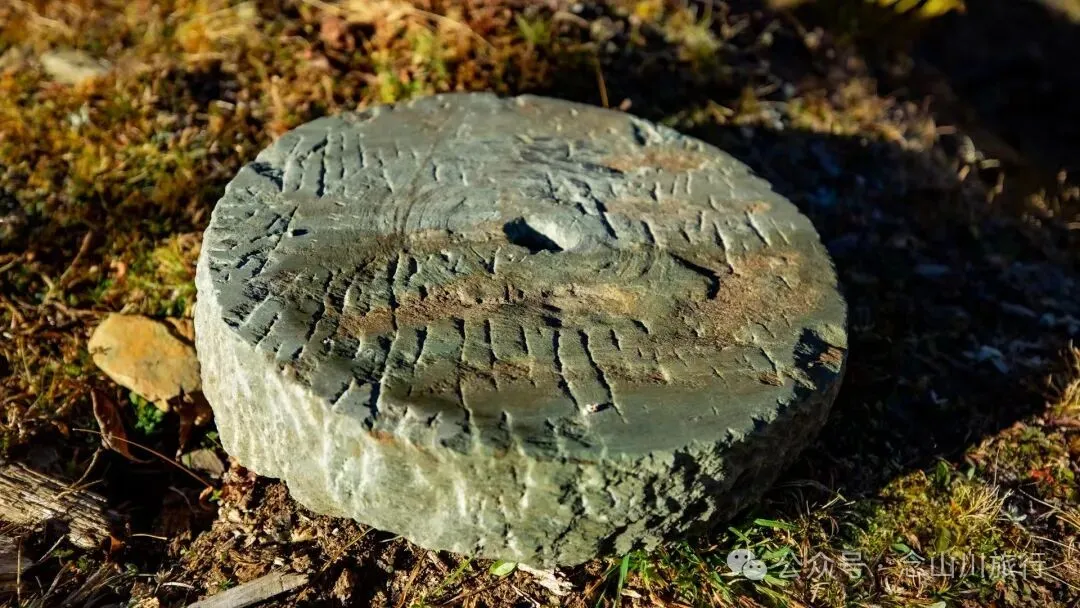 东桑卡，人类退出之后自然重新回归，隐居山野的理想之地 - 第16张