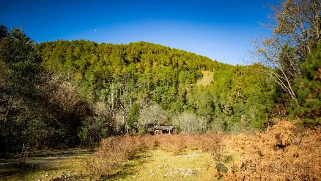 东桑卡，人类退出之后自然重新回归，隐居山野的理想之地 - 第19张