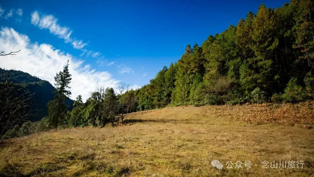 东桑卡，人类退出之后自然重新回归，隐居山野的理想之地 - 第2张