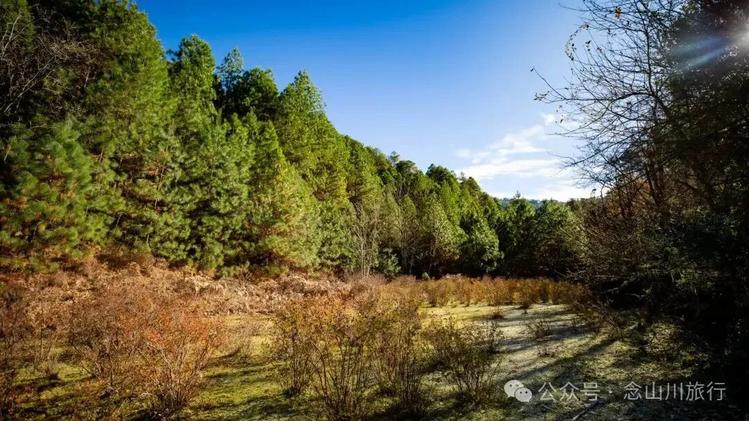 东桑卡，人类退出之后自然重新回归，隐居山野的理想之地 - 第20张