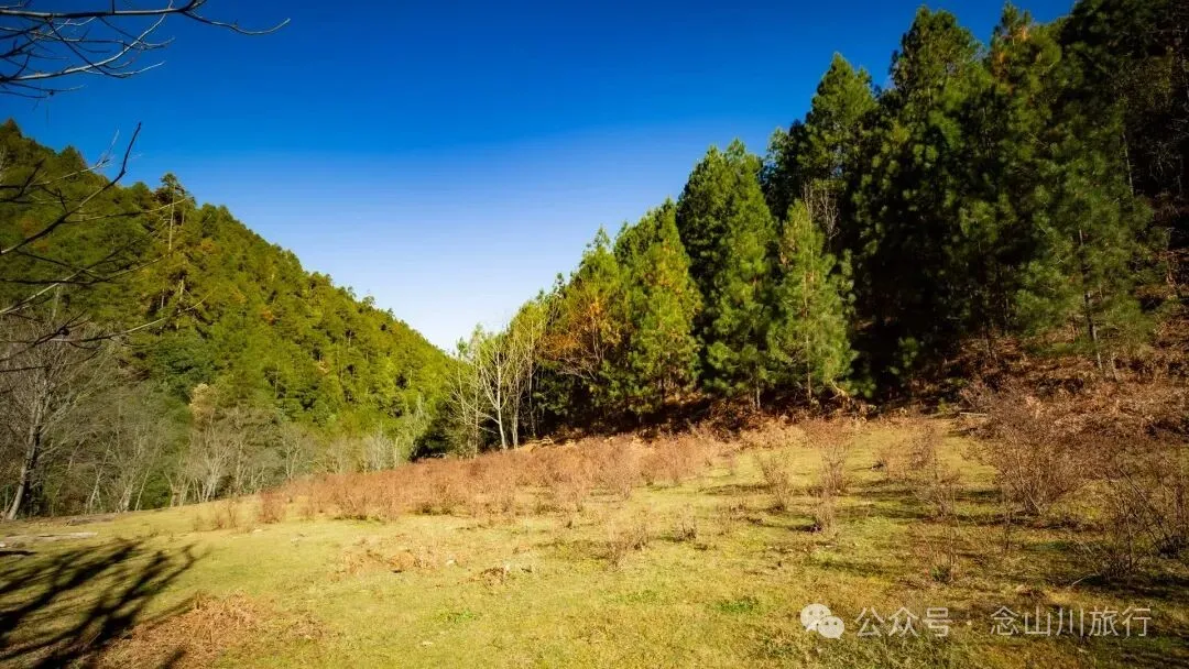 东桑卡，人类退出之后自然重新回归，隐居山野的理想之地 - 第21张