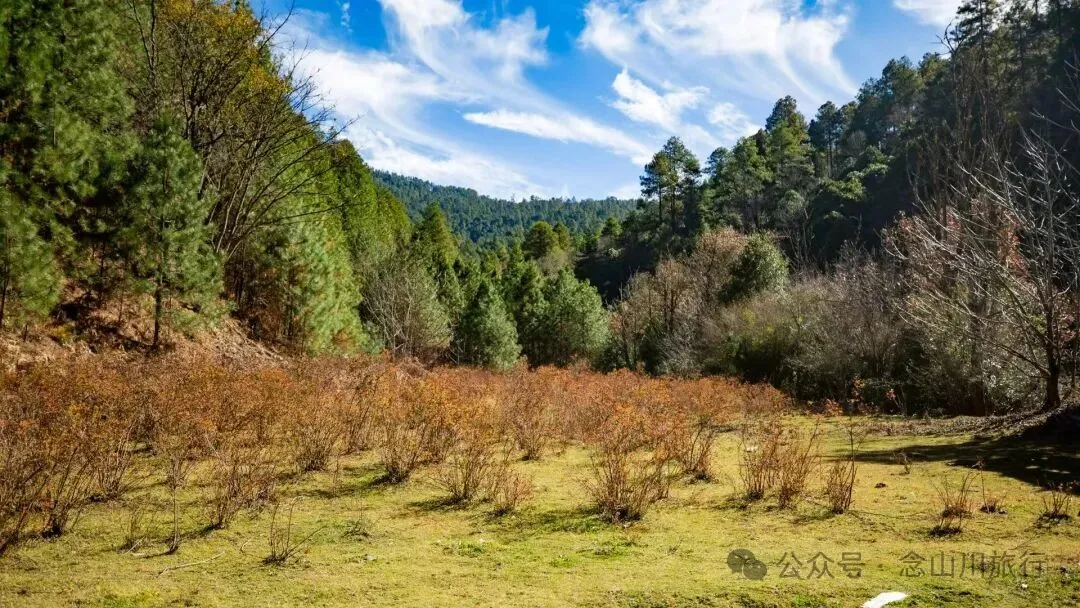 东桑卡，人类退出之后自然重新回归，隐居山野的理想之地 - 第22张