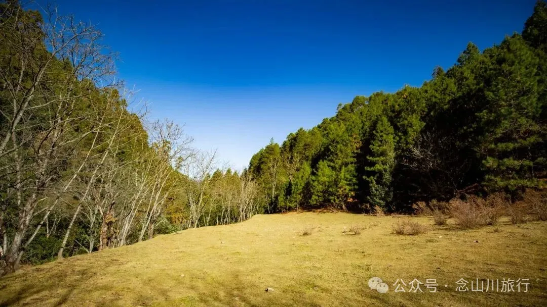 东桑卡，人类退出之后自然重新回归，隐居山野的理想之地 - 第24张