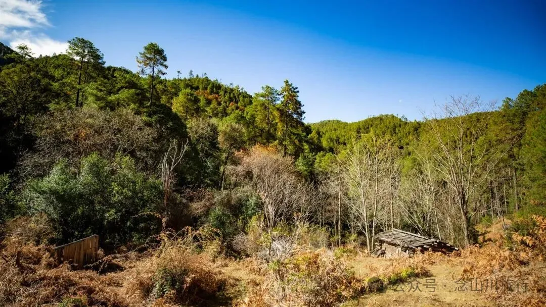 东桑卡，人类退出之后自然重新回归，隐居山野的理想之地 - 第25张