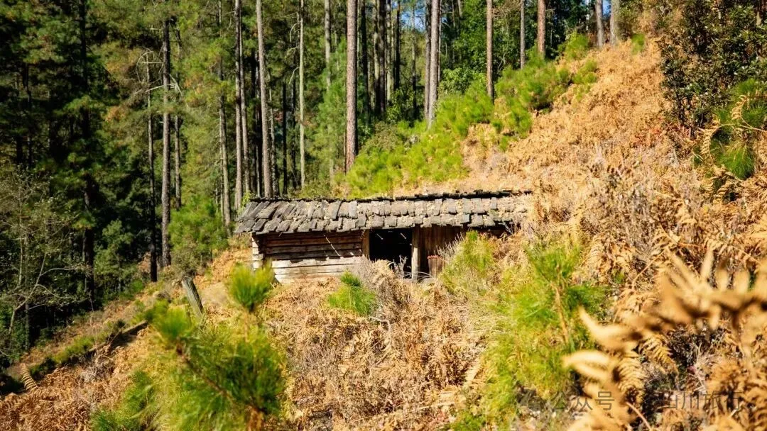 东桑卡，人类退出之后自然重新回归，隐居山野的理想之地 - 第26张