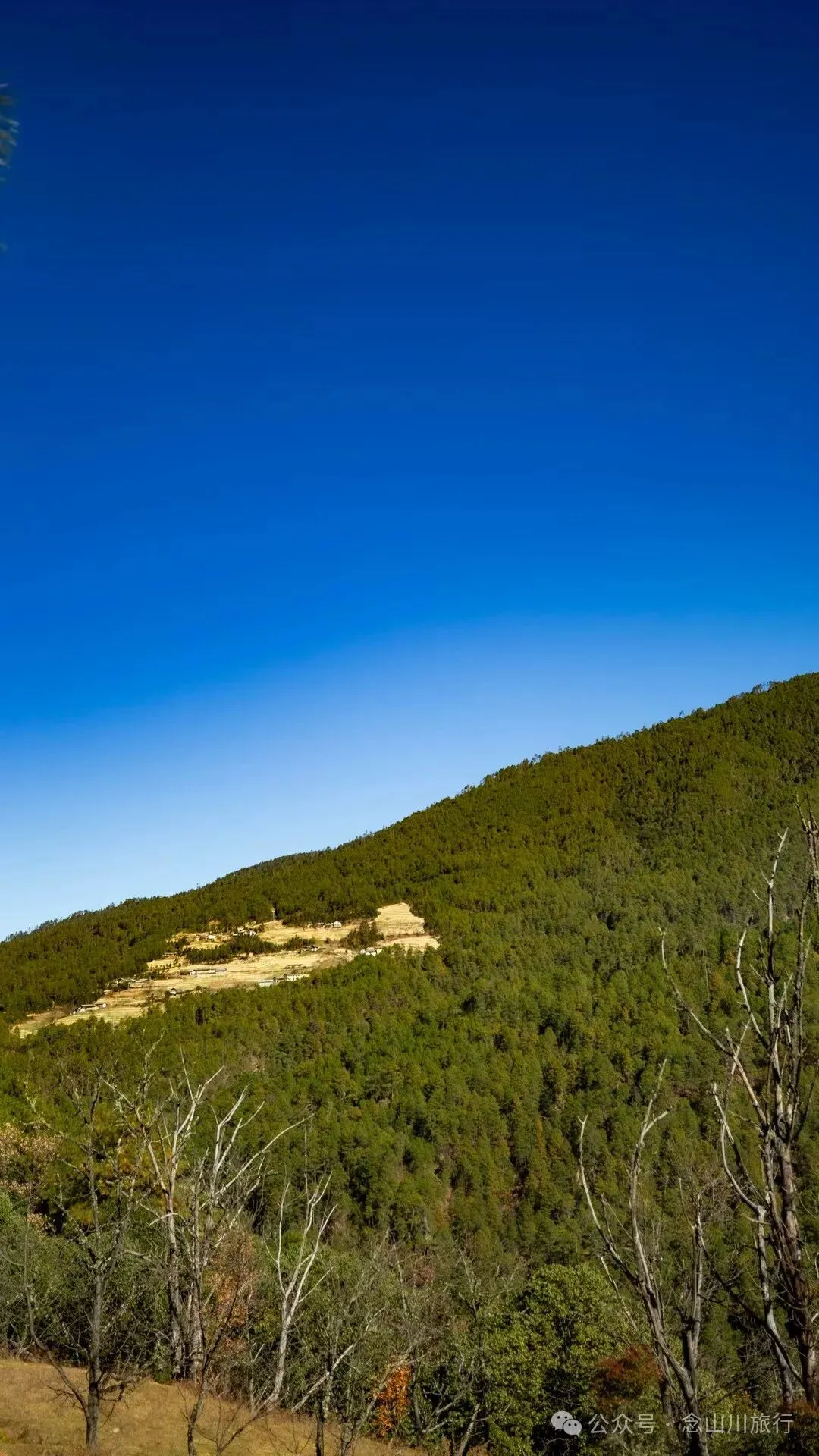 东桑卡，人类退出之后自然重新回归，隐居山野的理想之地 - 第28张