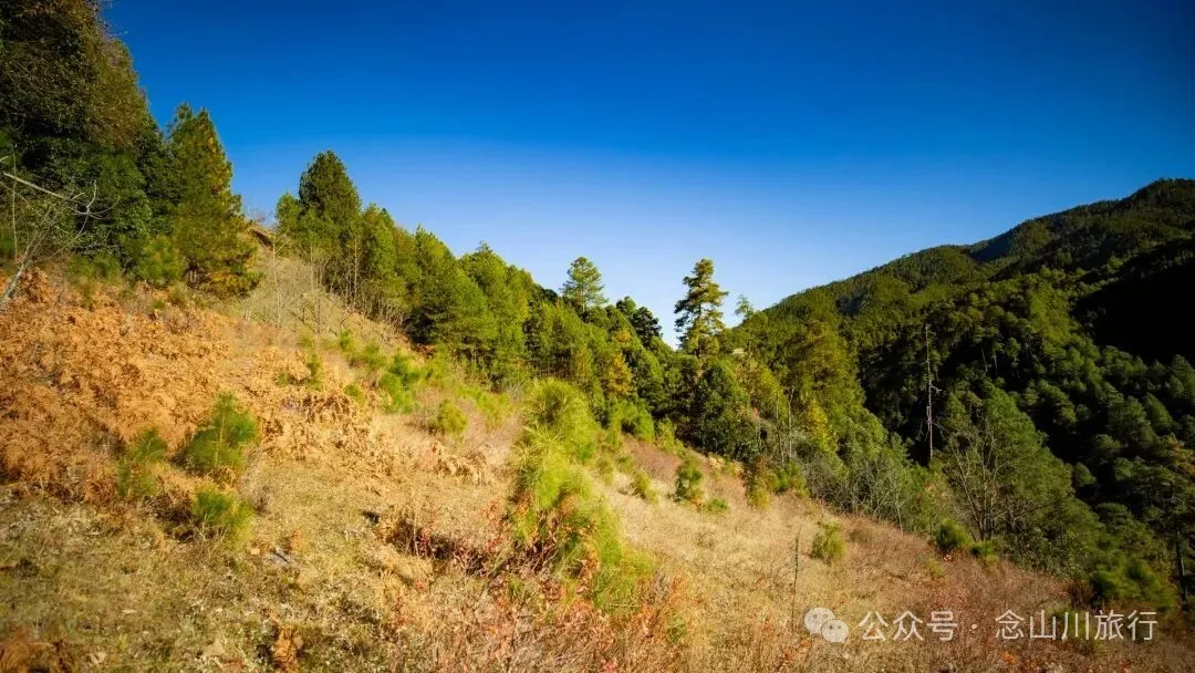 东桑卡，人类退出之后自然重新回归，隐居山野的理想之地 - 第7张