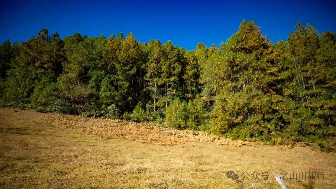 东桑卡，人类退出之后自然重新回归，隐居山野的理想之地 - 第8张